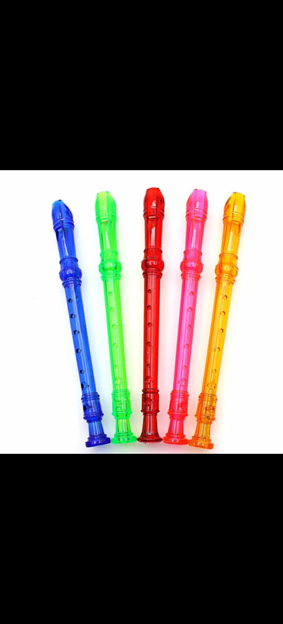 Swan colourful transparent schools descant recorders